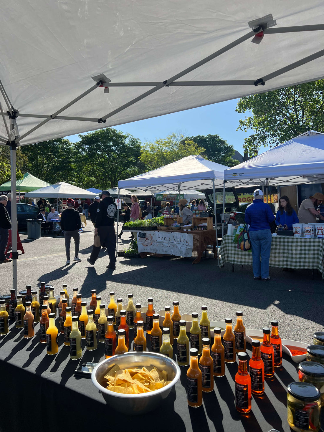 Sewickley Farmers Market