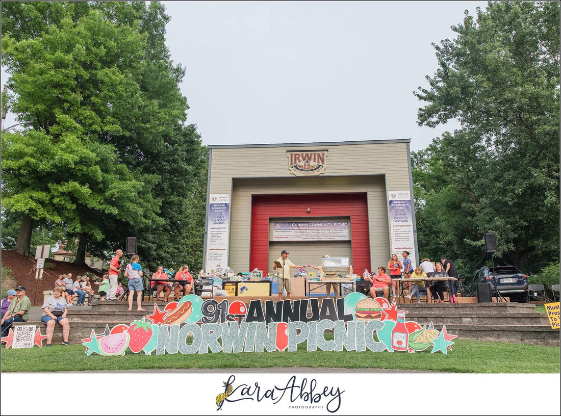 Norwin/Irwin Community Picnic